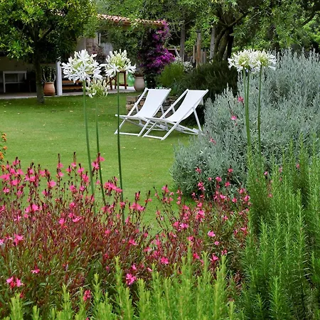 Guest house Giallo Limone Teulada