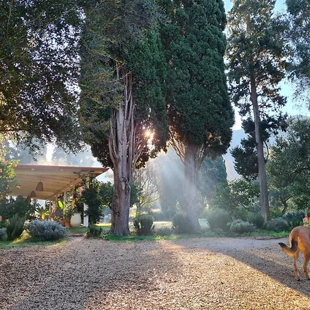 Giallo Limone 3* 툴라다