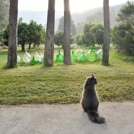 게스트하우스 Giallo Limone 툴라다