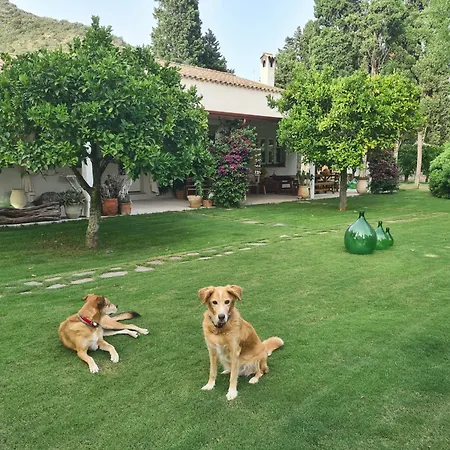 게스트하우스 Giallo Limone 3*