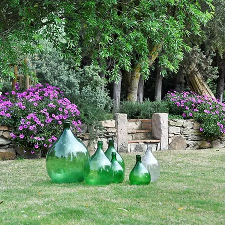 Guest house Giallo Limone Teulada