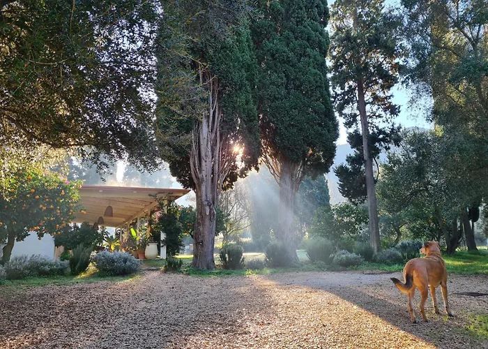 Giallo Limone 3* Teulada