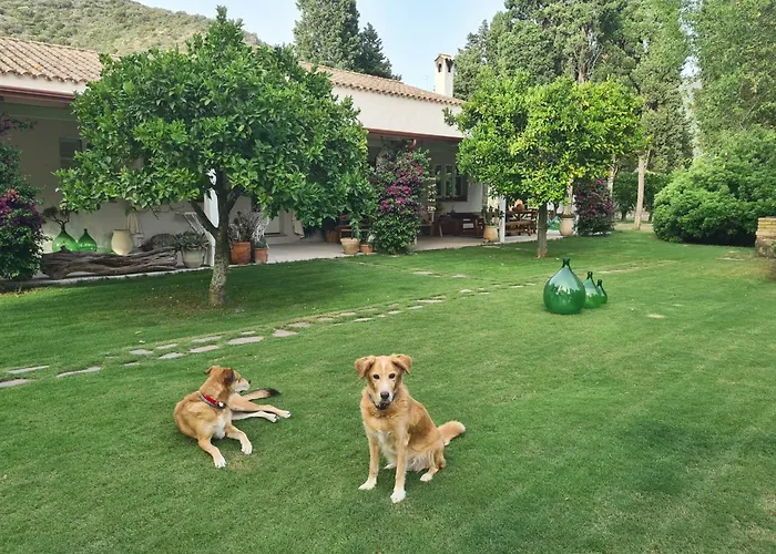 Pensjonat Giallo Limone 3*